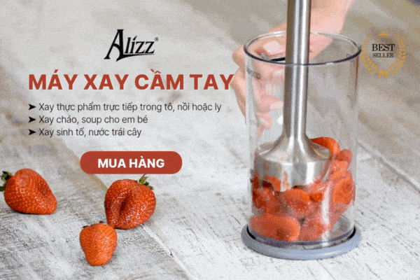 Máy xay cầm tay
