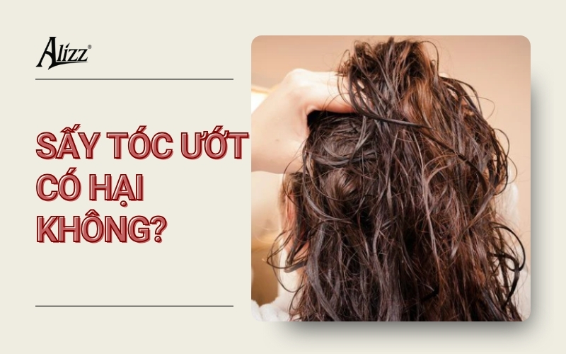 sấy tóc ướt có hại không