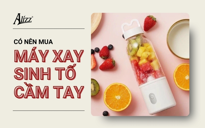 MÁY XAY SINH TỐ CẦM TAY CÓ CẦN THIẾT MUA KHÔNG?