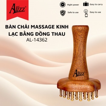 Dụng cụ chải kinh lạc đồng thau Alizz AL-14362